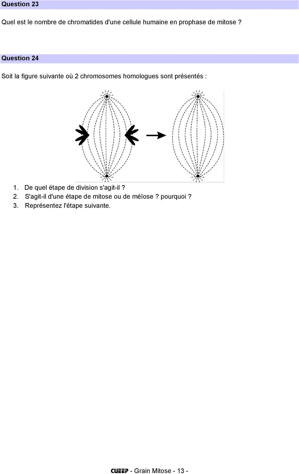 Question 24 Soit la figure suivante où 2 chromosomes homologues sont présentés : 1.