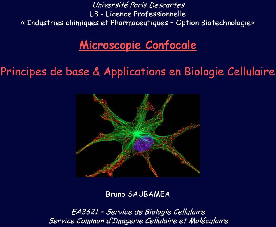 Principes de base & Applications en Biologie Cellulaire Bruno SAUBAMEA