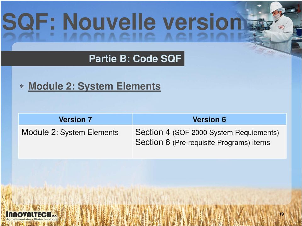 System Elements Section 4 (SQF 2000 System