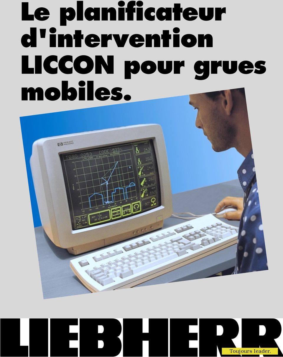 LICCON pour grues