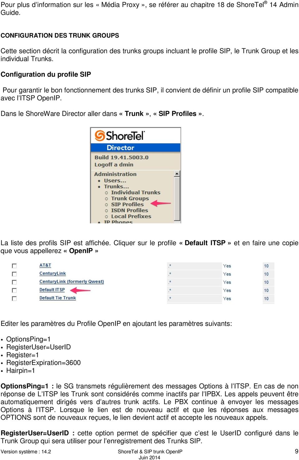 Configuration du profile SIP Pour garantir le bon fonctionnement des trunks SIP, il convient de définir un profile SIP compatible avec l ITSP OpenIP.