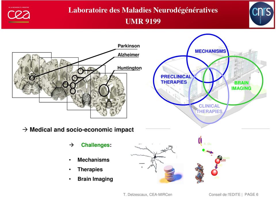 Medical and socio-economic impact Challenges: Mechanisms Therapies Brain Imaging