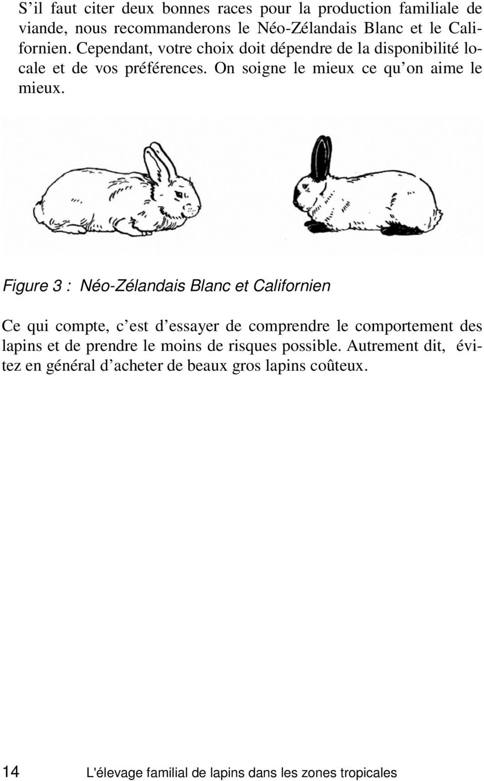 Figure 3 : Néo-Zélandais Blanc et Californien Ce qui compte, c est d essayer de comprendre le comportement des lapins et de prendre le