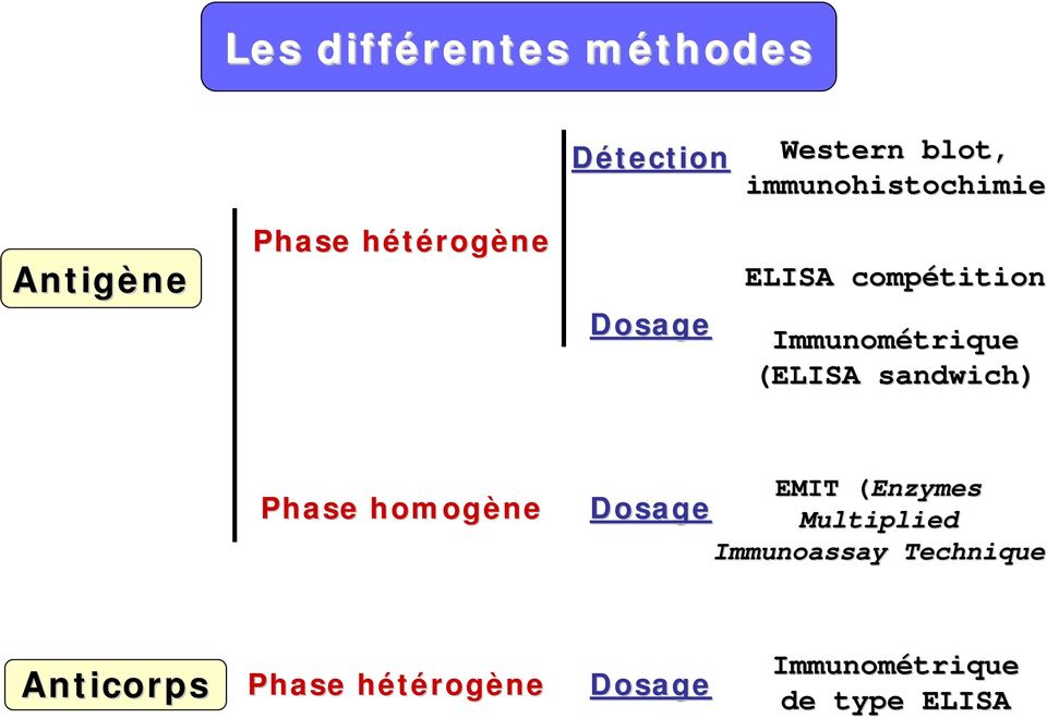(LISA sandwich) Phase homogène MIT (nzymes( Dosage Multiplied