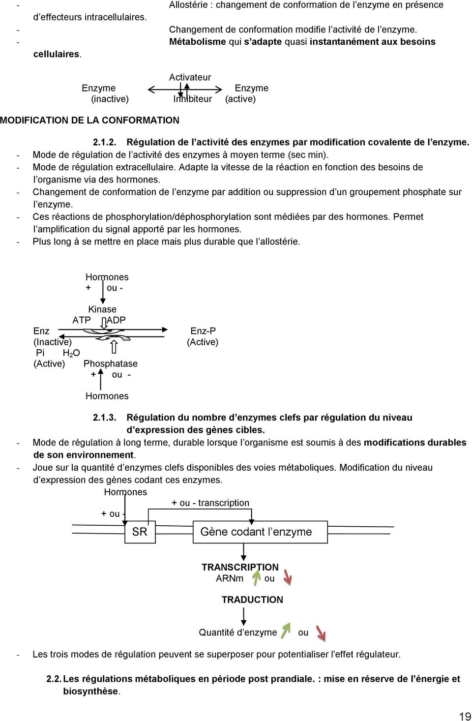 1.2. Régulation de l activité des enzymes par modification covalente de l enzyme. - Mode de régulation de l activité des enzymes à moyen terme (sec min). - Mode de régulation extracellulaire.