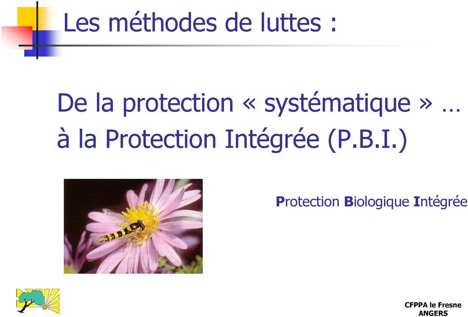 Protection In