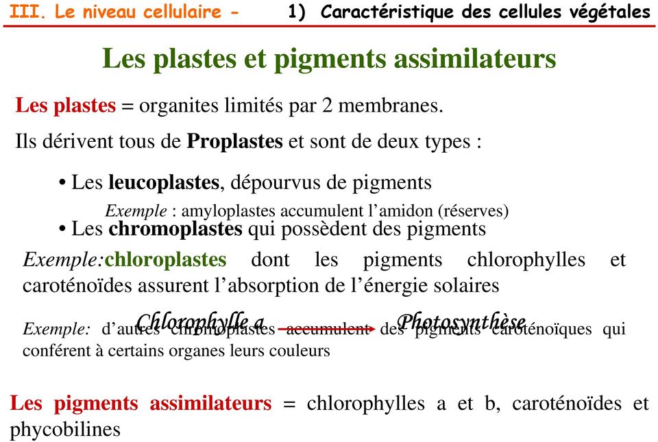 possèdent des pigments Exemple:chloroplastes dont les pigments chlorophylles et caroténoïdes assurent l absorption de l énergie solaires Chlorophylle a Photosynthèse se