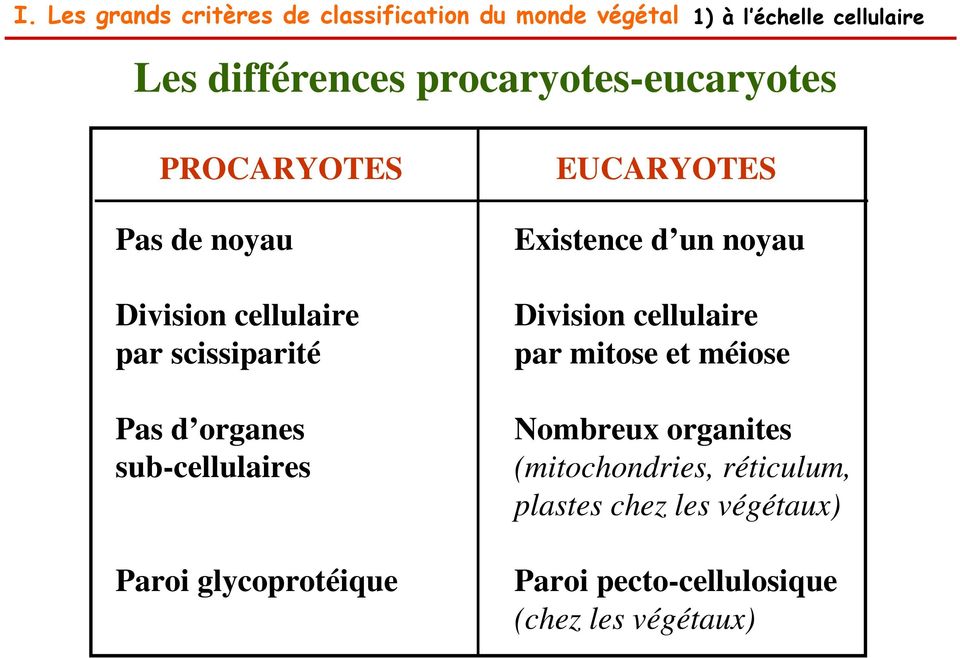 sub-cellulaires Paroi glycoprotéique EUCARYOTES Existence d un noyau Division cellulaire par mitose et