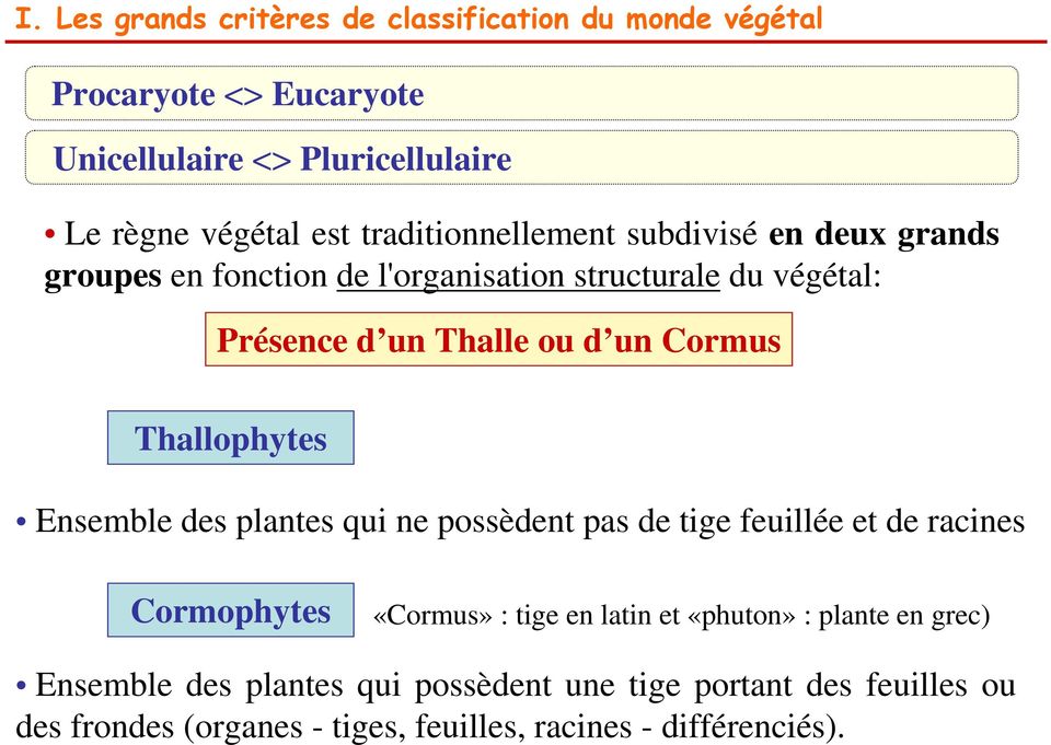 Cormus Thallophytes Ensemble des plantes qui ne possèdent pas de tige feuillée et de racines Cormophytes «Cormus» : tige en latin et