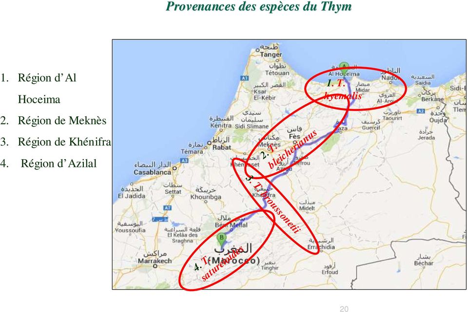 Région de Meknès 3. Région de Khénifra 4.