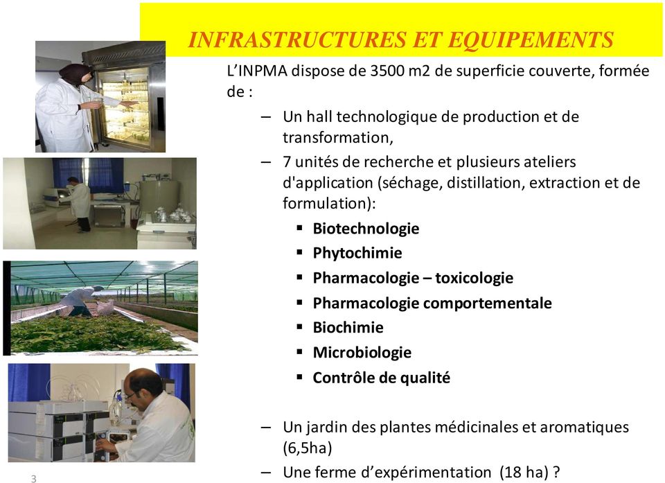 extraction et de formulation): Biotechnologie Phytochimie Pharmacologie toxicologie Pharmacologie comportementale