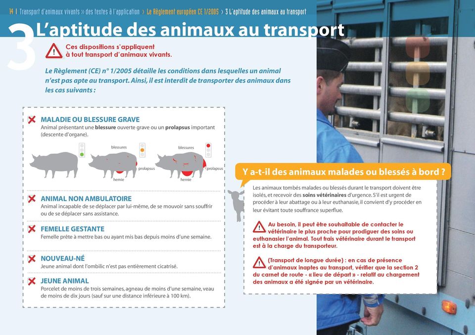 Ainsi, il est interdit de transporter des animaux dans les cas suivants : MALADIE OU BLESSURE GRAVE Animal présentant une blessure ouverte grave ou un prolapsus important (descente d organe).