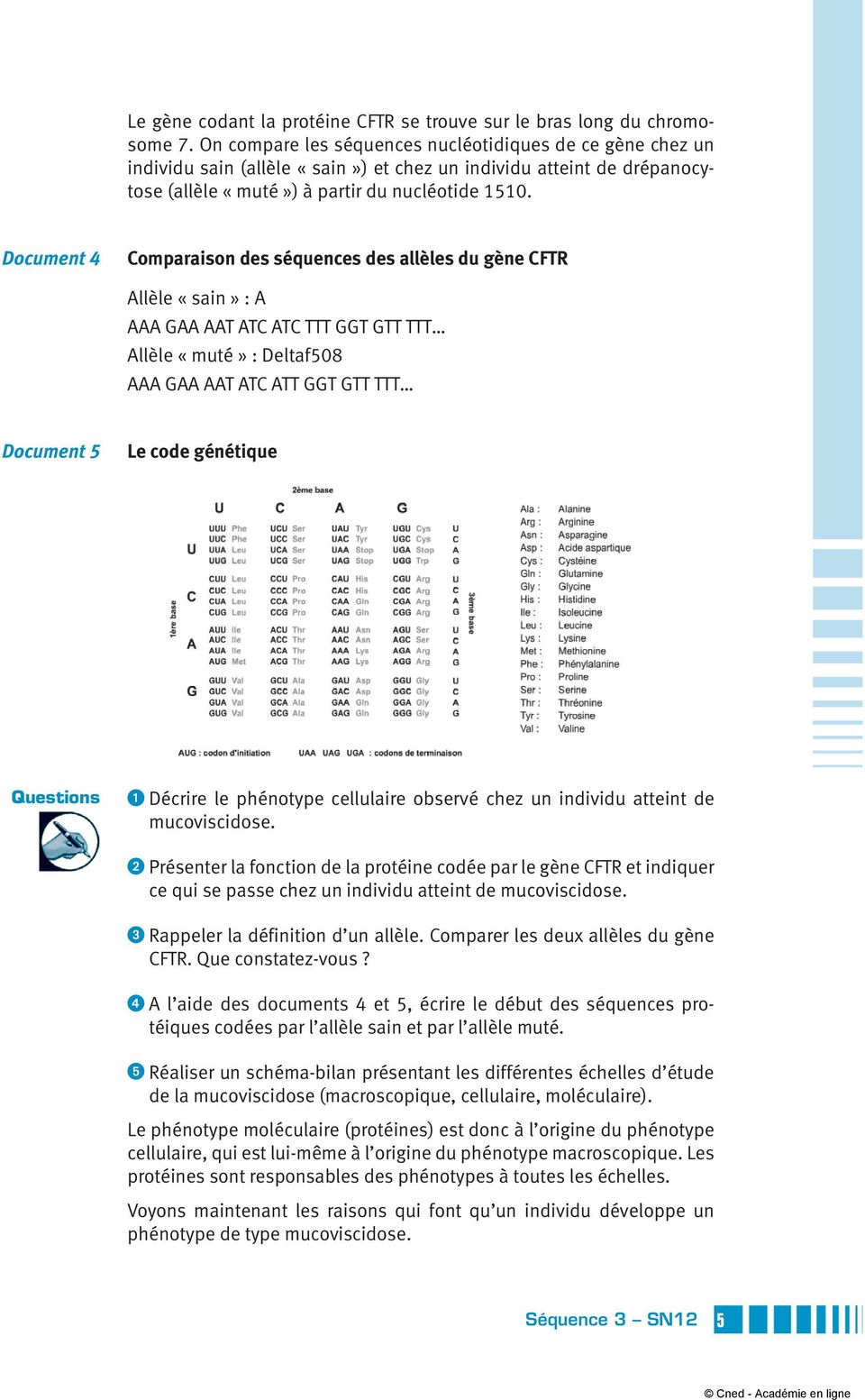 Document 4 Comparaison des séquences des allèles du gène CFTR Allèle «sain» : A AAA GAA AAT ATC ATC TTT GGT GTT TTT Allèle «muté» : Deltaf508 AAA GAA AAT ATC ATT GGT GTT TTT Document 5 Le code