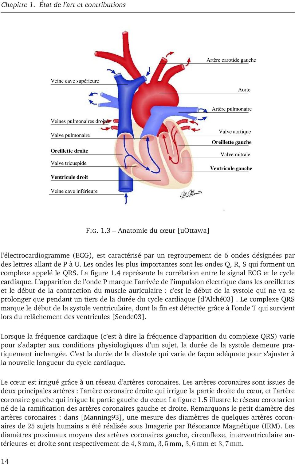 Valve aortique Oreillette gauche Valve mitrale Ventricule gauche Veine cave inférieure FIG. 1.