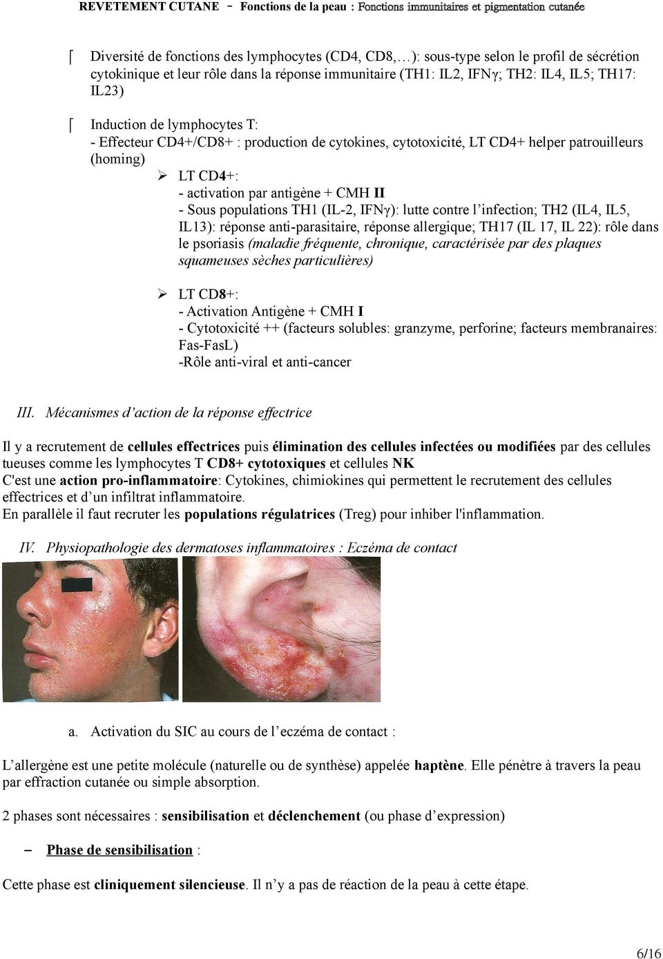 lutte contre l infection; TH2 (IL4, IL5, IL13): réponse anti-parasitaire, réponse allergique; TH17 (IL 17, IL 22): rôle dans le psoriasis (maladie fréquente, chronique, caractérisée par des plaques
