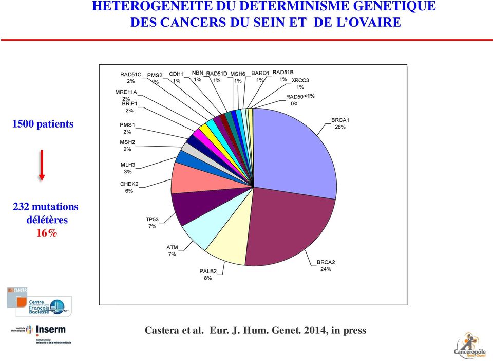 RAD50 <1% 2% 2% RAD50 BRIP1 BRIP1 0% 0% 2% 2% PMS1 2% MSH2 2% PMS1 2% MSH2 2% BRCA1 BRCA1 28% 28% 232 mutations délétères 16% MLH3