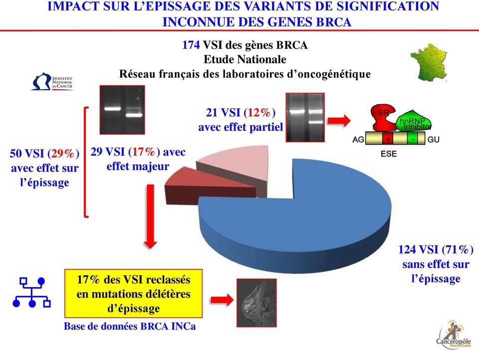 Inhibitor 50 VSI (29%) avec effet sur l épissage 29 VSI (17%) avec effet majeur AG + - ESE GU 17% des