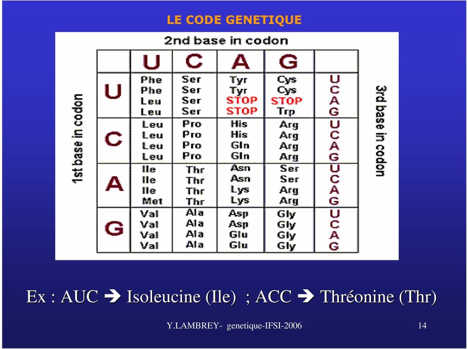 ACC Thréonine (Thr( Thr) Y.