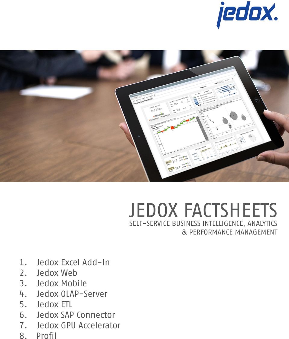 Profil JEDOX FACTSHEETS SELF-SERVICE