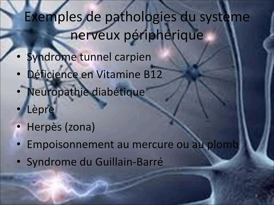 Vitamine B12 Neuropathie diabétique Lèpre Herpès