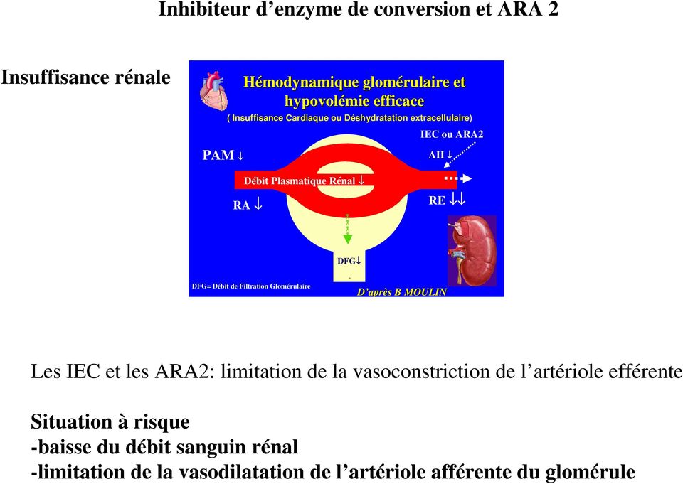 Filtration Glomérulaire DFG DFG D après B MOULIN Les IEC et les ARA2: limitation de la vasoconstriction de l artériole