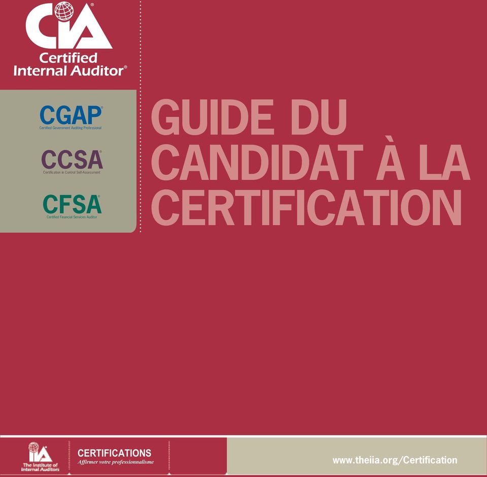 Cfsa Certified Financial Services Auditor GUIDE
