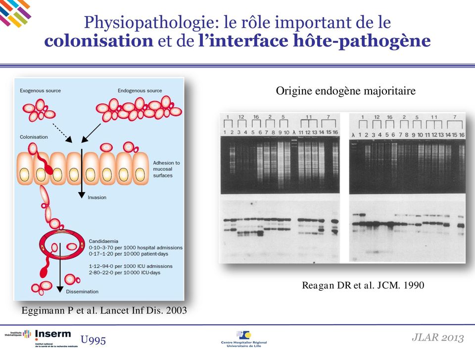 Origine endogène majoritaire Eggimann P et al.
