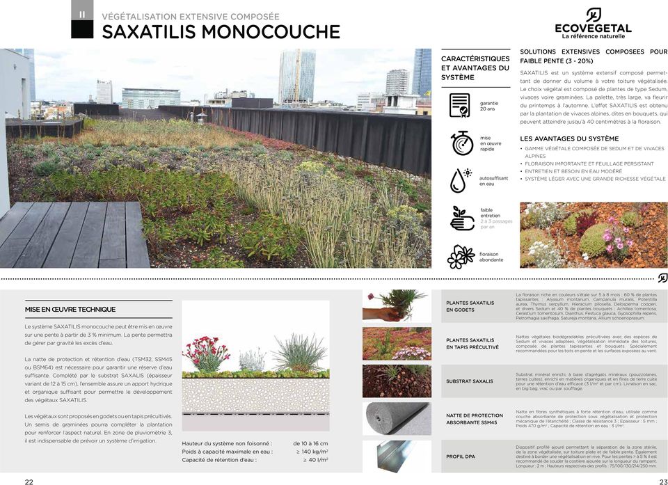 L effet SAXATILIS est obtenu par la plantation de vivaces alpines, dites en bouquets, qui peuvent atteindre jusqu à 40 centimètres à la floraison.