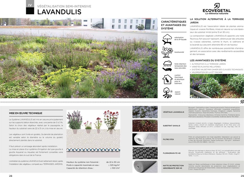 La composition végétale LAVANDULIS apporte une note fleurie au fort pouvoir tapissant, obtenue par des arbustes ou vivaces odorantes, comme le thym, la valériane et la lavande qui peuvent atteindre