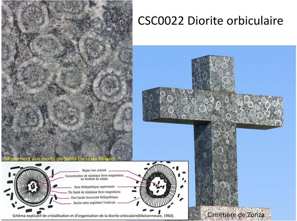 cristallisation et d organisation de la diorite