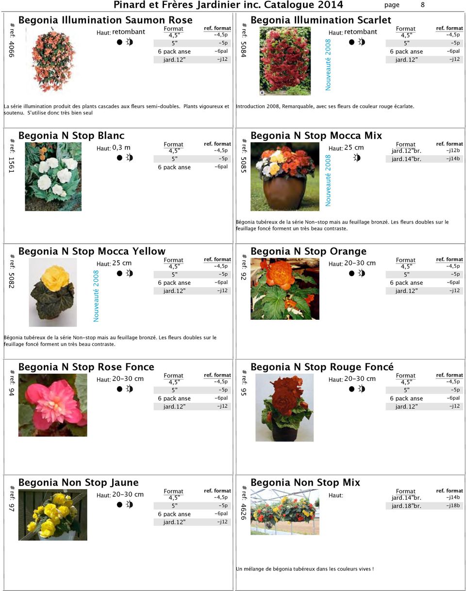 # ref: 1561 Begonia N Stop Blanc 0,3 m 6 pack anse l # ref: 5085 Begonia N Stop Mocca Mix 25 cm Nouveauté 2008 jard.12 br. jard.14 br.