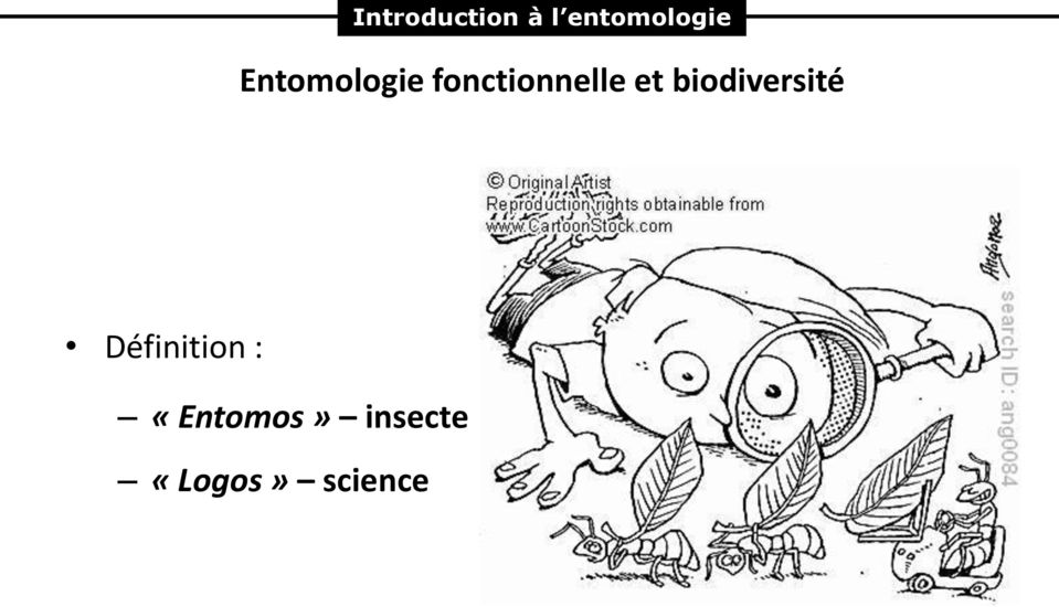 biodiversité Définition :