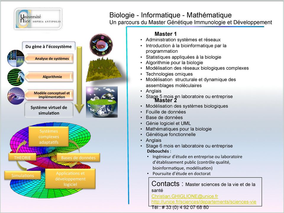 bioinformatique par la programmation Statistiques appliquées à la biologie Algorithmie pour la biologie Modélisation des réseaux biologiques complexes Technologies omiques Modélisation structurale et