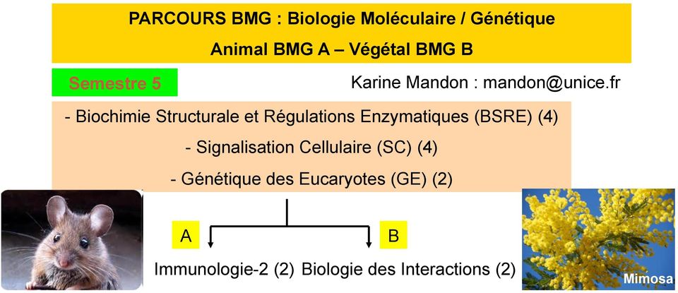 fr - Biochimie Structurale et Régulations Enzymatiques (BSRE) (4) -