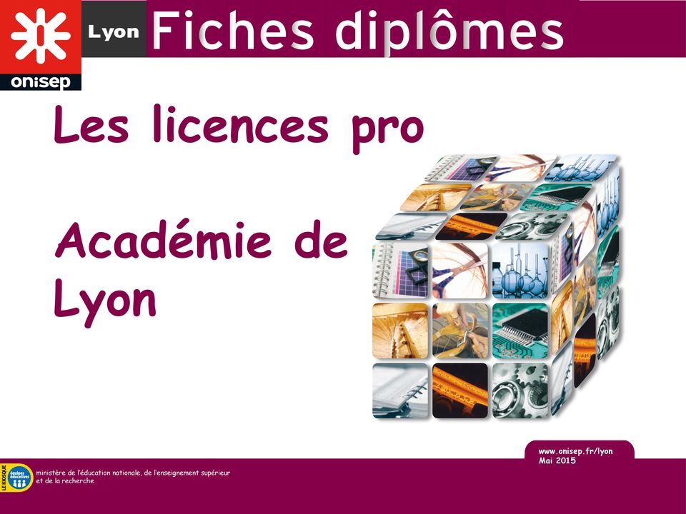 de l enseignement supérieur et de la recherche Lyon Les licences pro
