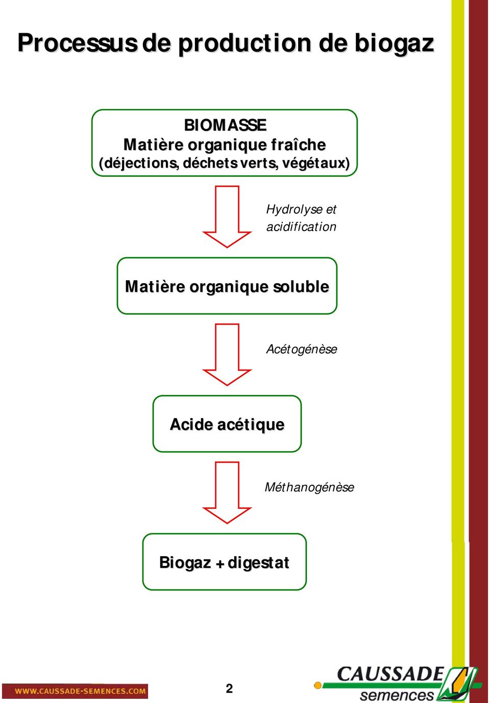 végétaux) v Hydrolyse et acidification Matière