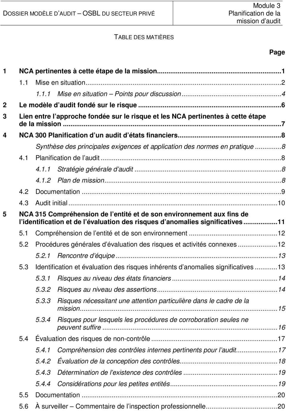 .. 7 4 NCA 300 Planification d un audit d états financiers... 8 Synthèse des principales exigences et application des normes en pratique... 8 4.1 Planification de l audit... 8 4.1.1 Stratégie générale d audit.