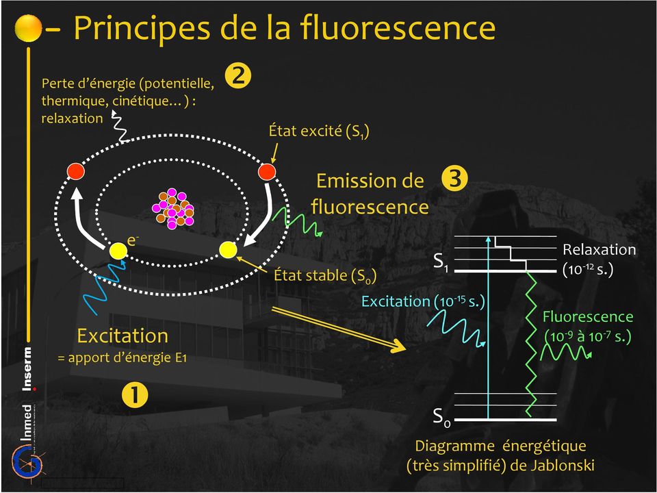 fluorescence État stable (S 0 ) ❸ S 1 Excitation (10-15 s.) S 0 Relaxation (10-12 s.