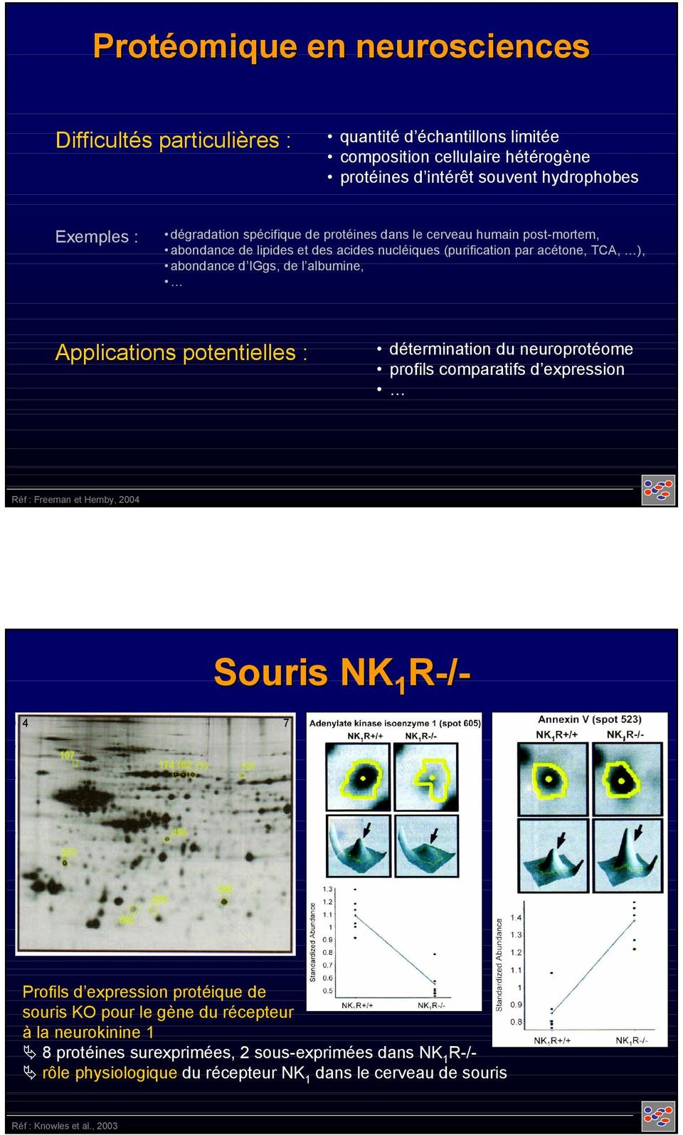 albumine, Applications potentielles : détermination du neuroprotéome profils comparatifs d expression Réf : Freeman et Hemby, 2004 Souris NK 1 R-/- 4 7 Profils d expression protéique