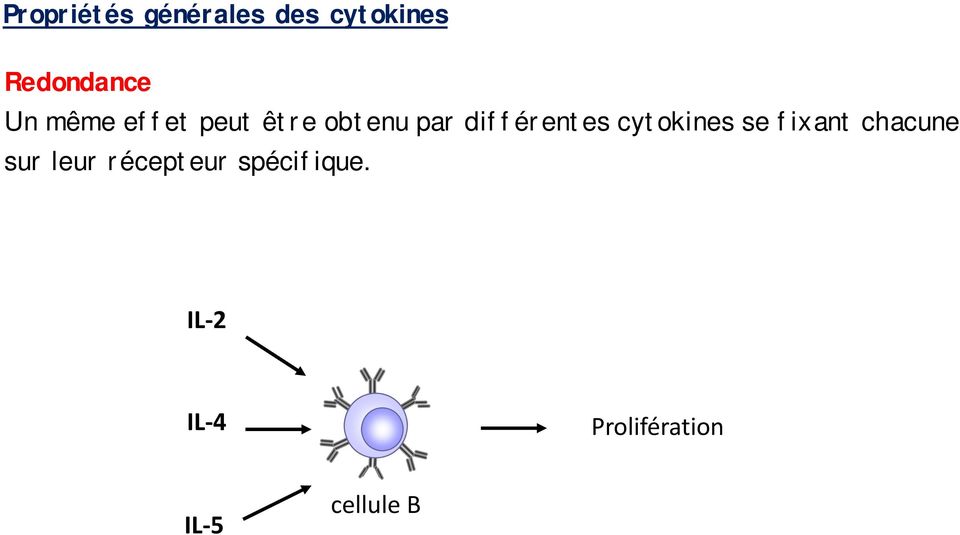 cytokines se fixant chacune sur leur récepteur