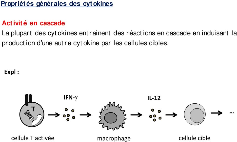 induisant la production d une autre cytokine par les cellules