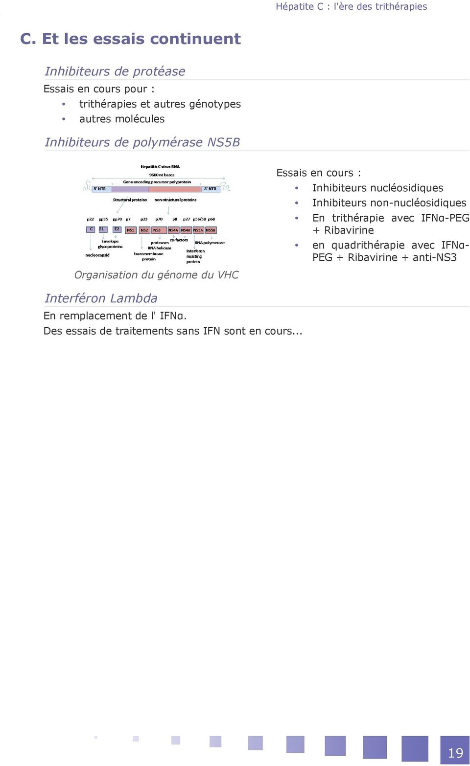 Inhibiteurs de polymérase NS5B Organisation du génome du VHC Essais en cours : Inhibiteurs nucléosidiques Inhibiteurs
