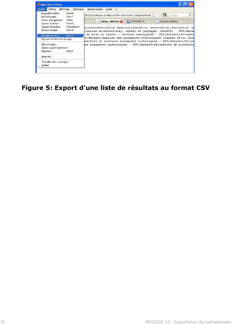format CSV 10 PRODIGE V3