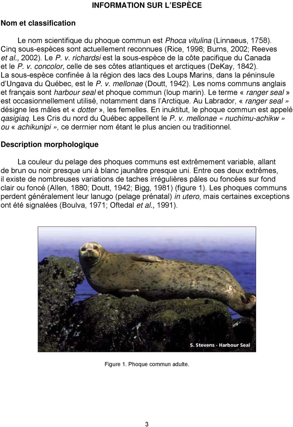 La sous-espèce confinée à la région des lacs des Loups Marins, dans la péninsule d Ungava du Québec, est le P. v. mellonae (Doutt, 1942).