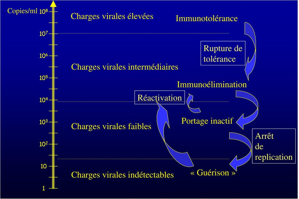 Immunoélimination Réactivation 10 3 10 2 10 Charges virales faibles