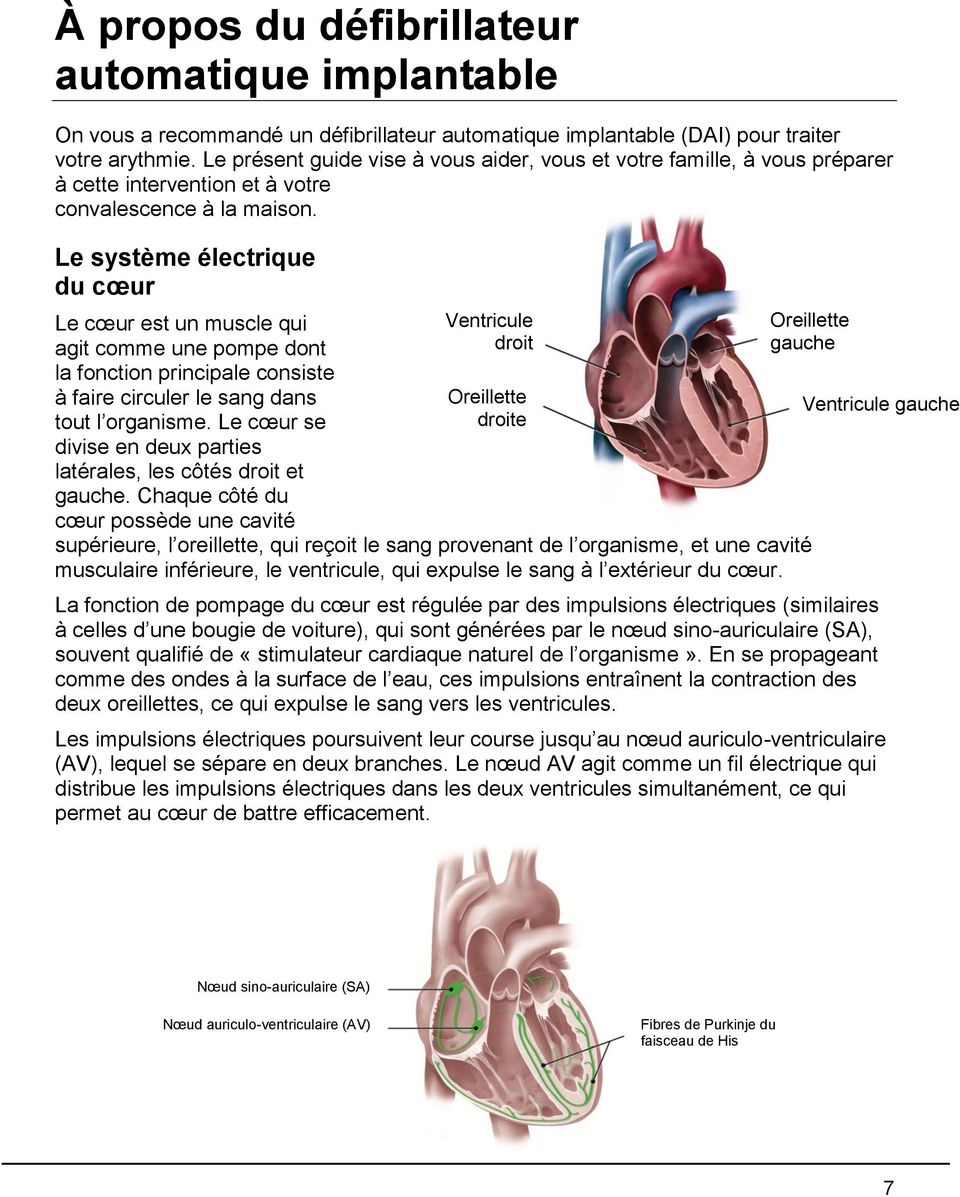 Le système électrique du cœur Le cœur est un muscle qui agit comme une pompe dont la fonction principale consiste à faire circuler le sang dans tout l organisme.