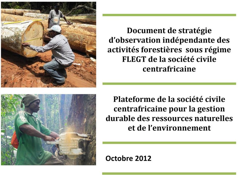 centrafricaine Plateforme de la société civile centrafricaine