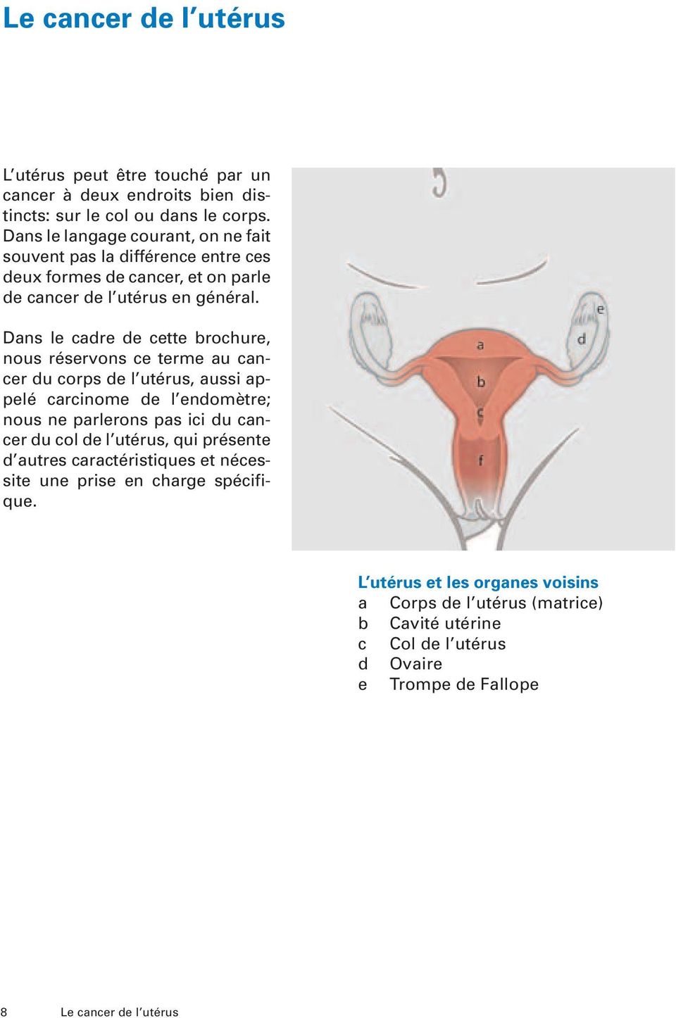 Dans le cadre de cette brochure, nous réservons ce terme au cancer du corps de l utérus, aussi appelé carcinome de l endomètre; nous ne parlerons pas ici du cancer du col