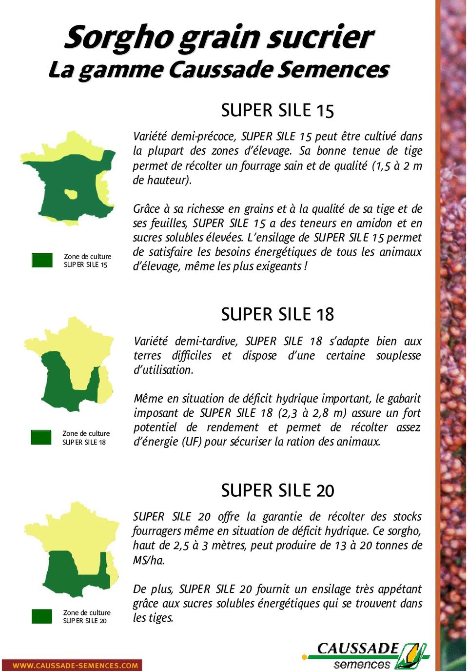 Zone de culture SUPER SILE 15 Grâce à sa richesse en grains et à la qualité de sa tige et de ses feuilles, SUPER SILE 15 a des teneurs en amidon et en sucres solubles élevées.