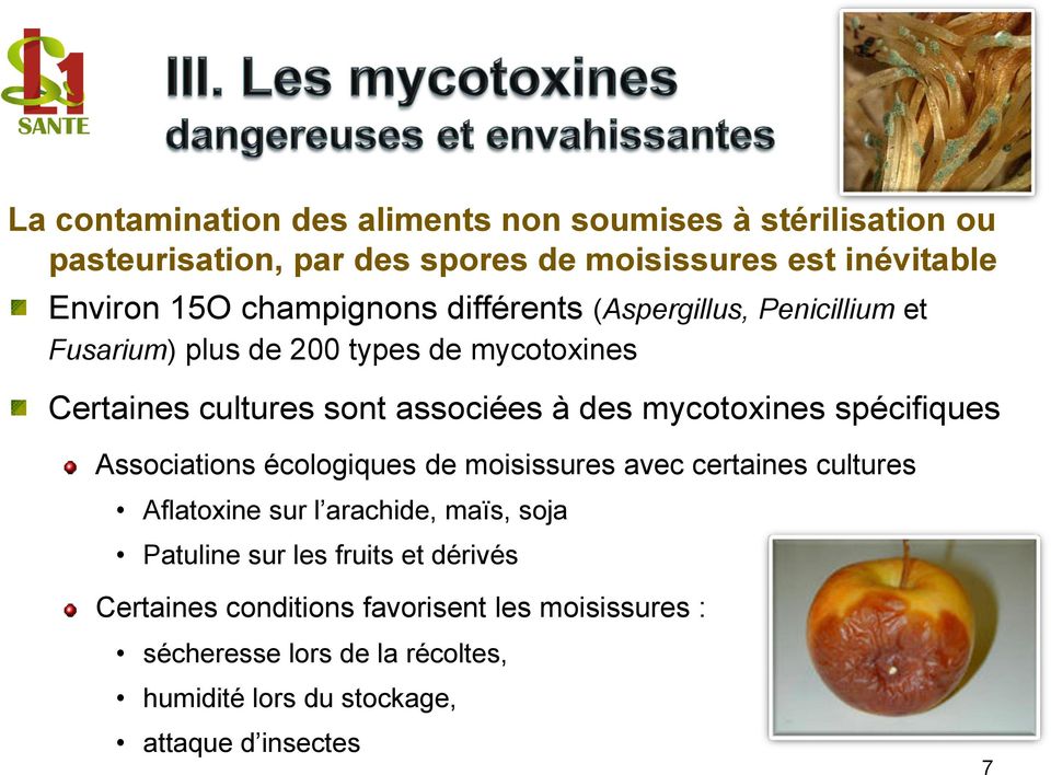 mycotoxines spécifiques Associations écologiques de moisissures avec certaines cultures Aflatoxine sur l arachide, maïs, soja Patuline sur